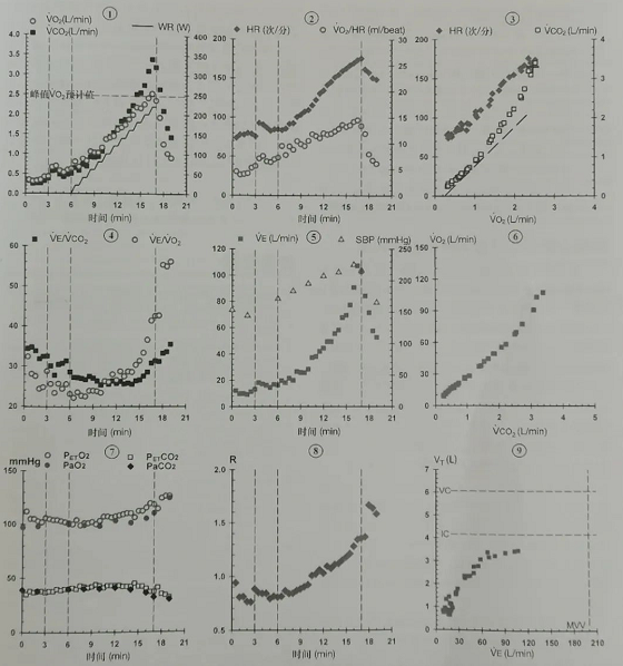 5f1658f6495ec.png