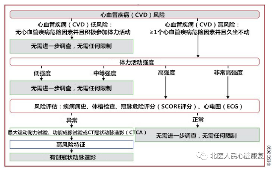 5f4cae52cc0e6.png