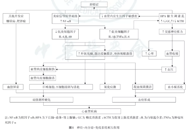 5fc731650136b.png