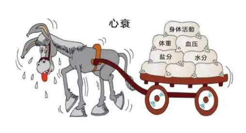5fe46537d3cf7.png