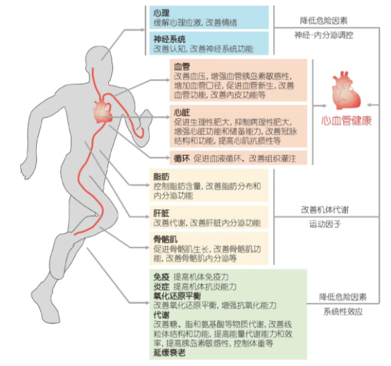 606c350d1c2c6.png