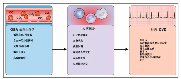 60d291980464b.png