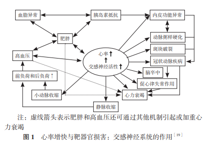 6111ee05952c5.png