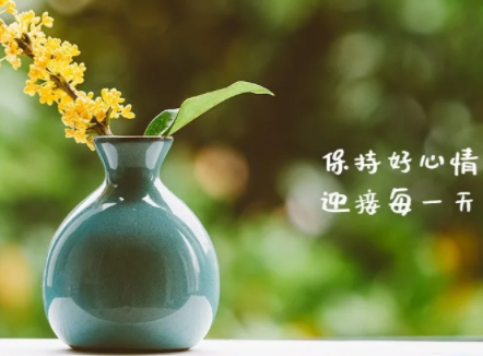 61a04cb737523.png