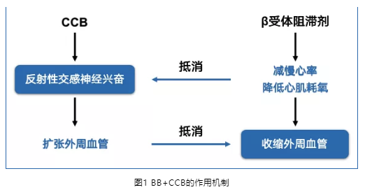 61bbec3720fa9.png