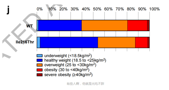 62d8f6db60094.png