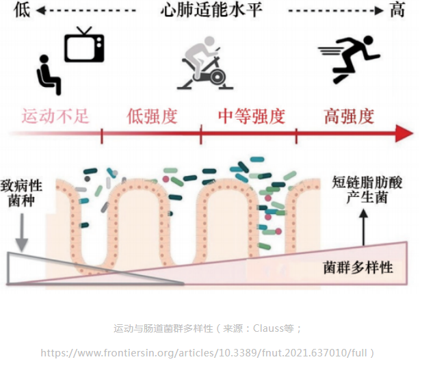 62fc7ce0549f1.png