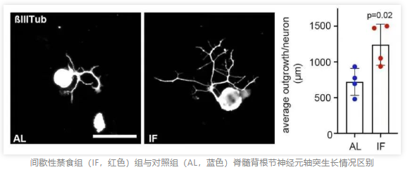 6340e1733628b.png