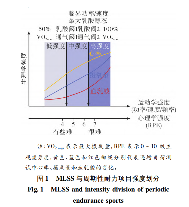 63914a667be82.png