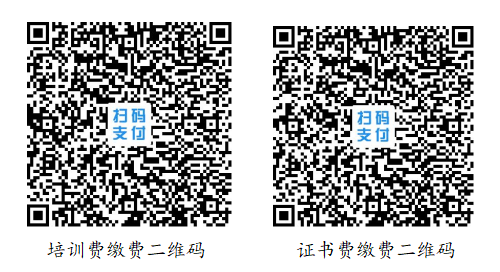 64be31e2ae87a.png
