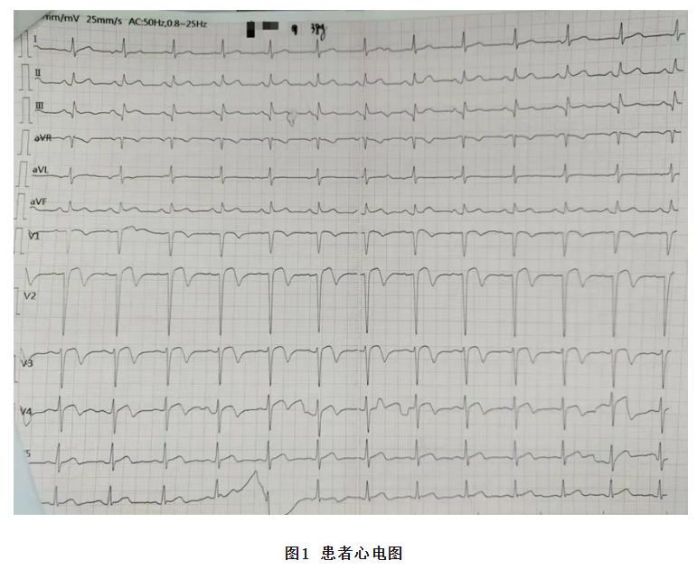 663b2e88741a2.png