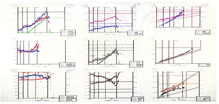 663c69414a033.png