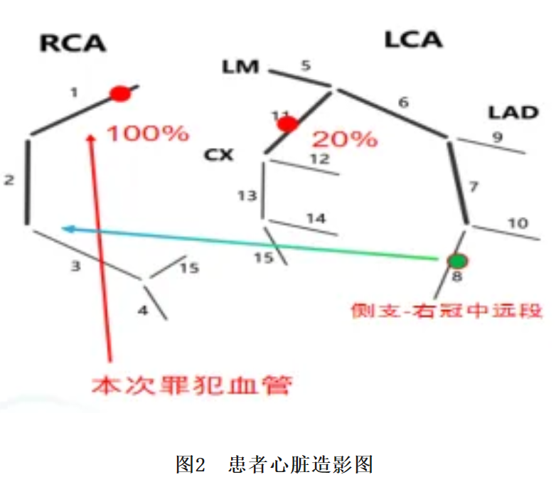 663c7e544dbaa.png