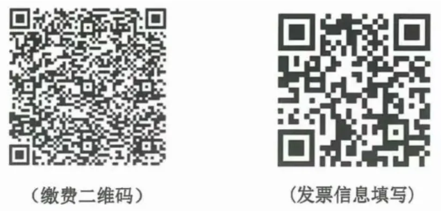 6646cfea311f6.png