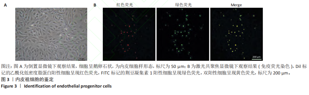 668b94191e303.png