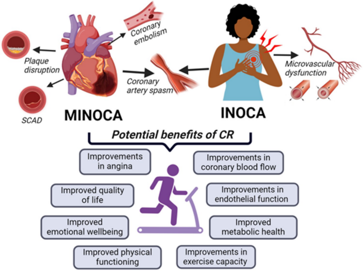 6909b9a2dd528.png 6909b9a2dd528.png