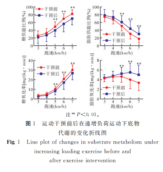 691ed66def2c6.png 691ed66def2c6.png
