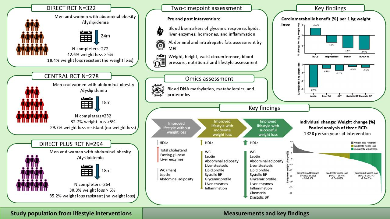 69328378132e6.png 69328378132e6.png