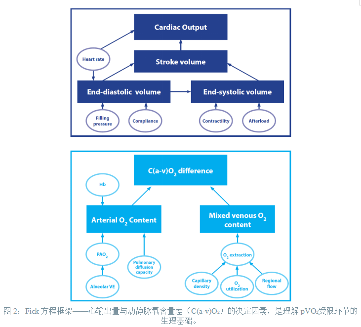 6a6c5991d707b.png